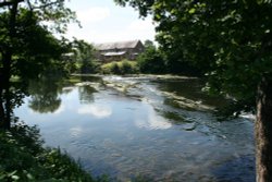 View over the river Wallpaper