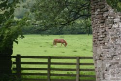 Llanthony