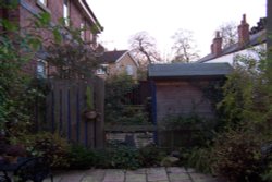 An English Garden in November