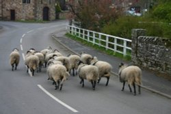 Caldbeck street scene