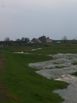 after the rain