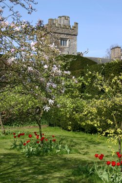 Levens Hall Gardens