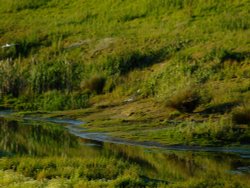 North Cave wetlands Wallpaper