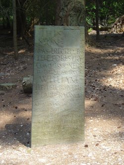 The New Forest (Hampshire)