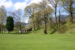 Lower Fitz Park Wallpaper