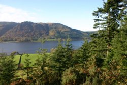 Bassenthwaite Lake from Dodd Wood
