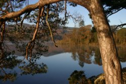 Derwentwater from Friars Crag Wallpaper