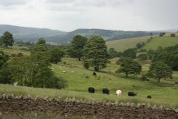 Views around Dean Clough Wallpaper
