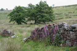 Dean Clough Reservoir Wallpaper