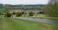 Around the Grounds Wallpaper