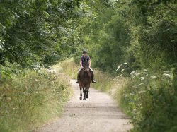 Bridleway, Mursley, Bucks. Wallpaper