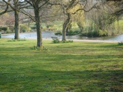 Collet Park - Shepton Mallet Wallpaper