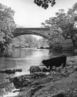 Bridge at Kirkby Lonsdale