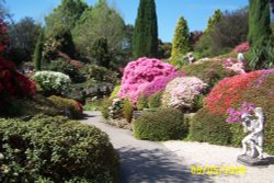 Leonardslee - the Rockery Wallpaper