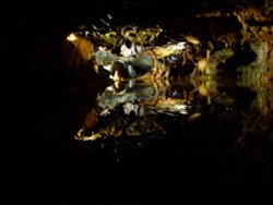 Reflections in the dark Wallpaper