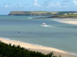 Padstow Wallpaper