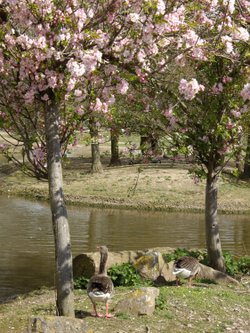 Slimbridge