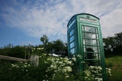 Call Of The Wild Wallpaper