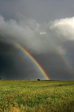Rainbow near Elmhurst