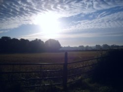 July morning