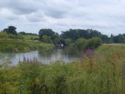 On the Arun