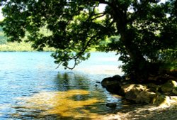 Ullswater near Glencoyne Bay. English Lakes.