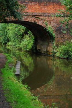 The canal at Tardebigge