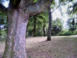 King George Park