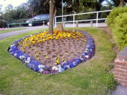 Queen Elizabeth Park