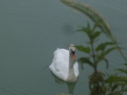 On The Adur