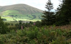 Parlick Hill from Beacon Fell