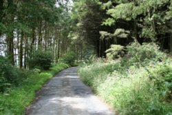 Beacon Fell walk