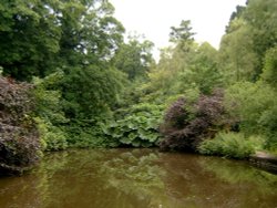 Lake at Cockington Court. Wallpaper
