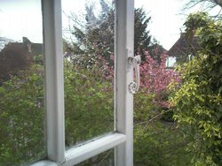 A week after the snowstorm