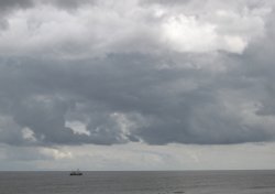 Into the storm