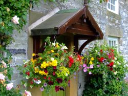 A gorgeous show, Ashford in the water