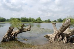 Saddington Reservoir Wallpaper