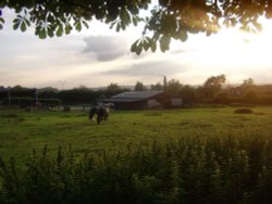 Bramcote