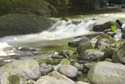 Thwaites beck Wallpaper