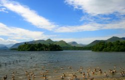 Derwentwater in the English Lakes. Cat Bells in the background. Wallpaper