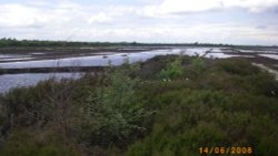 Peat Bogs Wallpaper