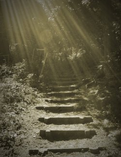Steps