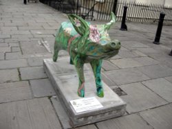 Save the Hamazon Wallpaper