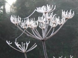Basingstoke Canal, Up Nately Wallpaper