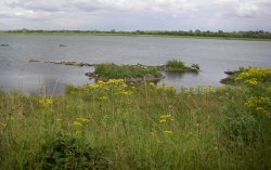 Anglers Country Park