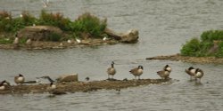 Anglers Country Park