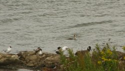Anglers Country Park