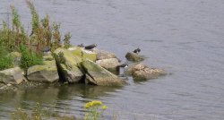 Anglers Country Park