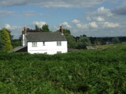 Cottage in Bradgate Park Wallpaper