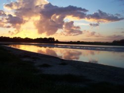 SINGLETON SUNSET